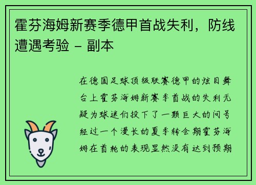霍芬海姆新赛季德甲首战失利，防线遭遇考验 - 副本
