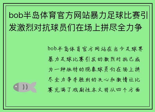 bob半岛体育官方网站暴力足球比赛引发激烈对抗球员们在场上拼尽全力争夺胜利