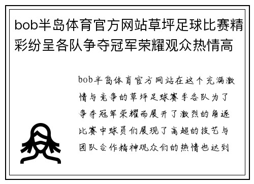 bob半岛体育官方网站草坪足球比赛精彩纷呈各队争夺冠军荣耀观众热情高涨