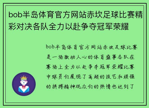 bob半岛体育官方网站赤坎足球比赛精彩对决各队全力以赴争夺冠军荣耀