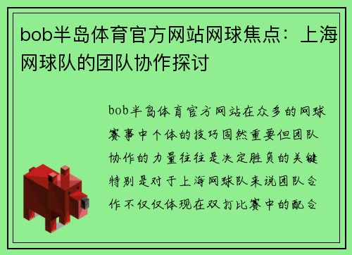 bob半岛体育官方网站网球焦点：上海网球队的团队协作探讨